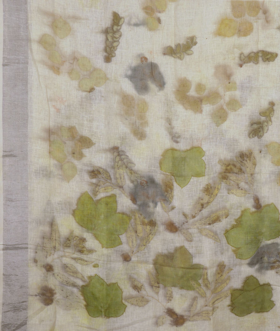 off-white-linen-printed-saree-t336750-t336750-d