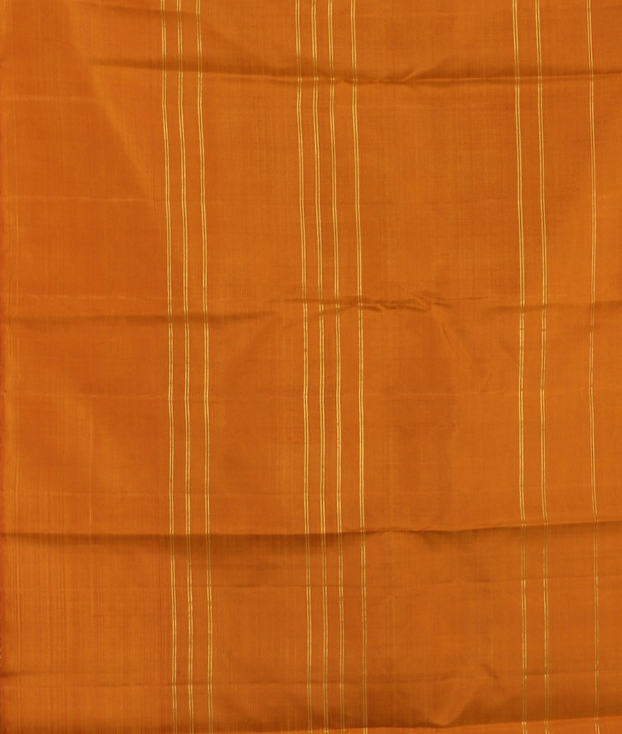 Multicolour Handwoven Kanjivaram Silk Saree T3480583