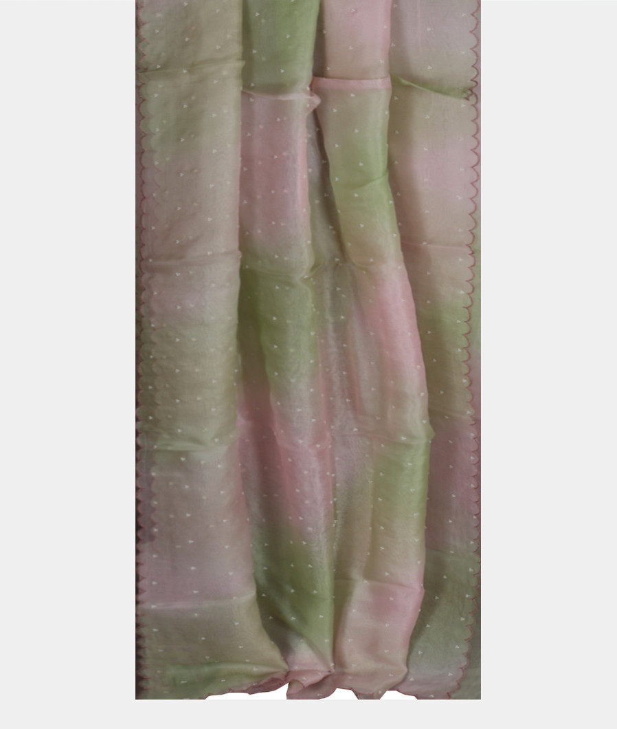 Green and Lavender Kora Organza Embroidery Saree T3629692