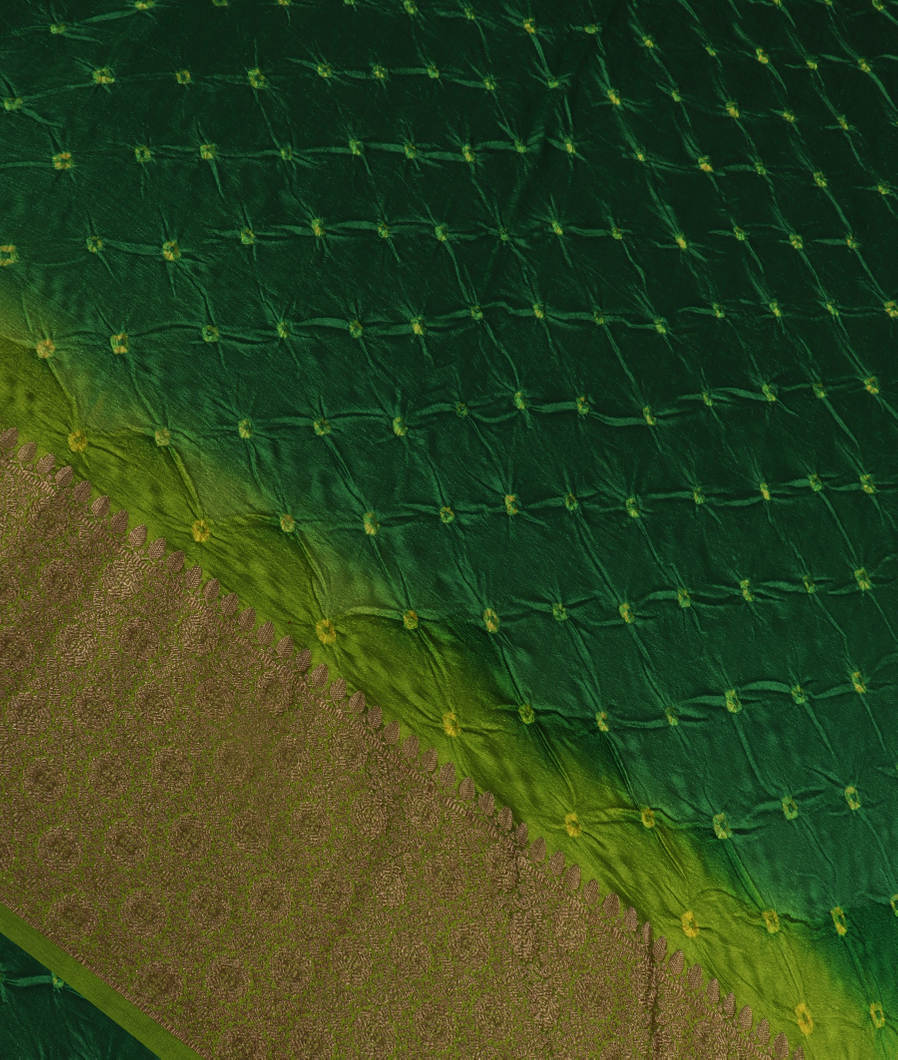 Green Bandhani Tussar Saree T357544-image