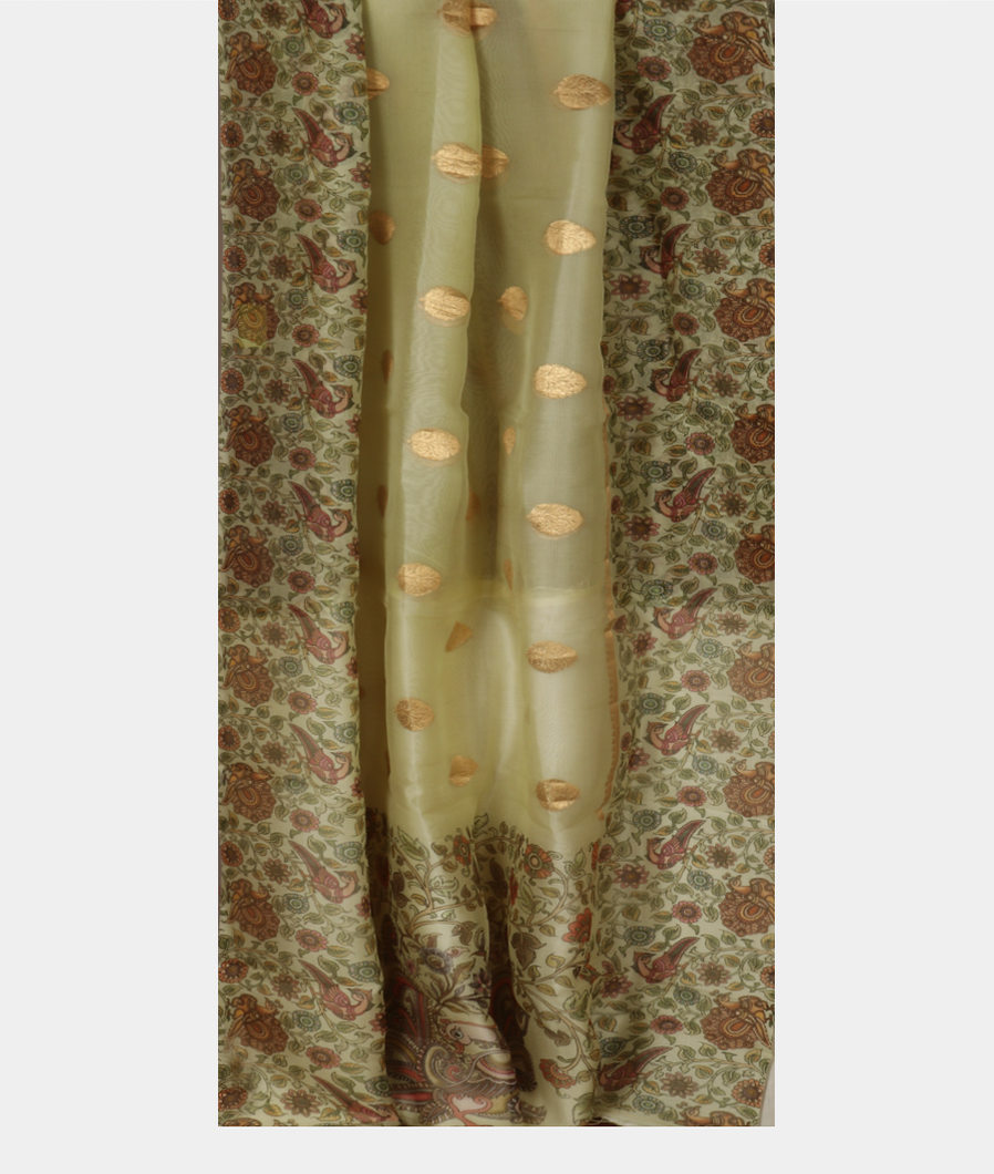 Green Kora Organza Printed Saree T3574092