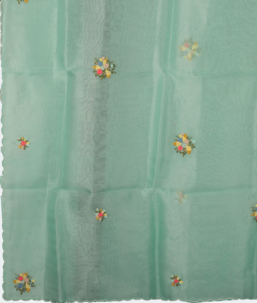 Green Kora Organza Hand Embroidery Saree T3493504