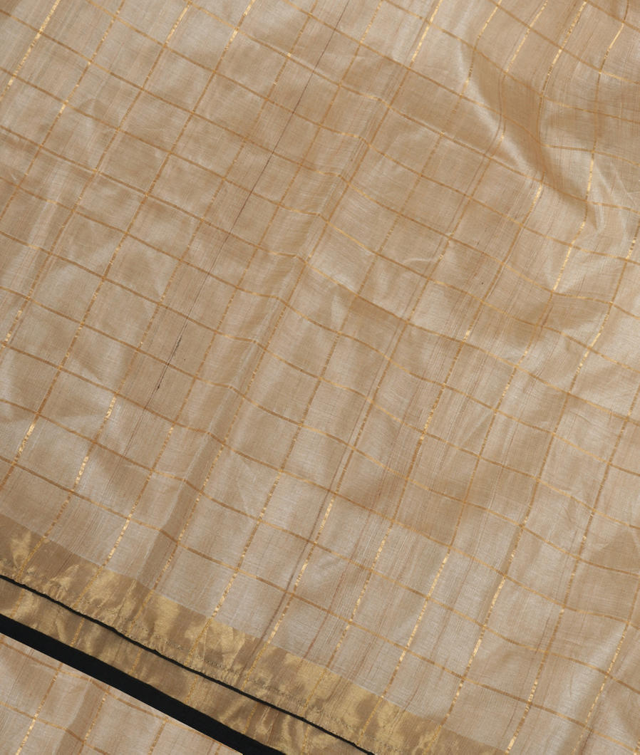 Beige Woven Tussar Saree T363341-image