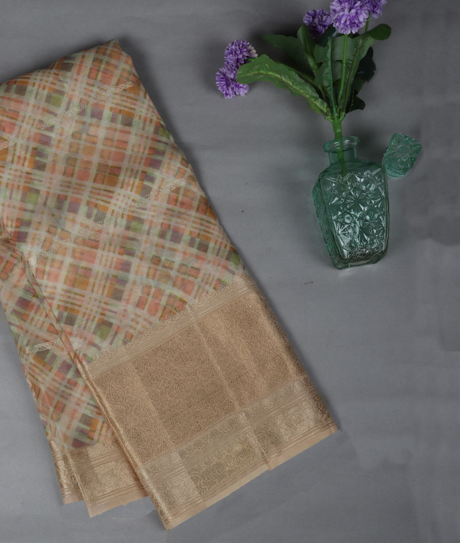 Multicolour Kora Organza Printed Saree T345627-image