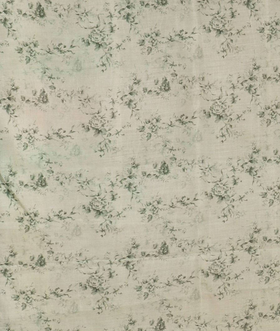 Multicolour Kora Organza Printed Saree T3456273