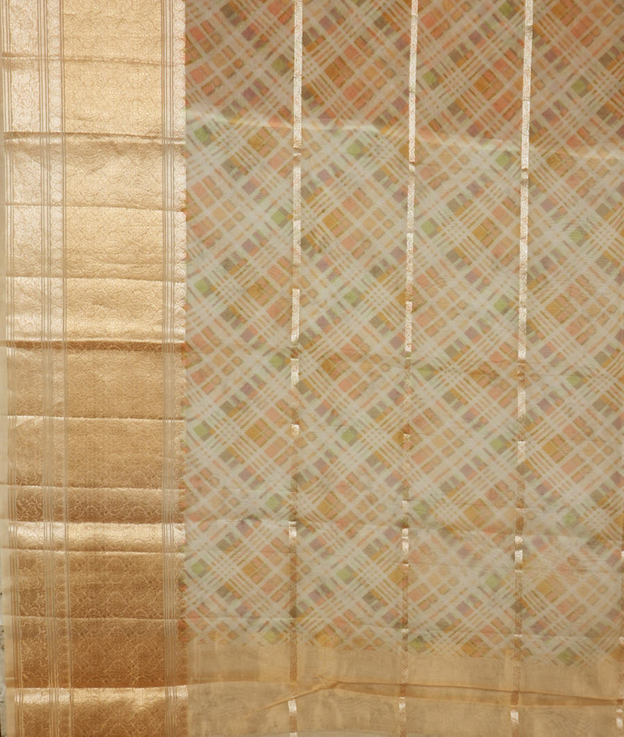 Multicolour Kora Organza Printed Saree T3456274