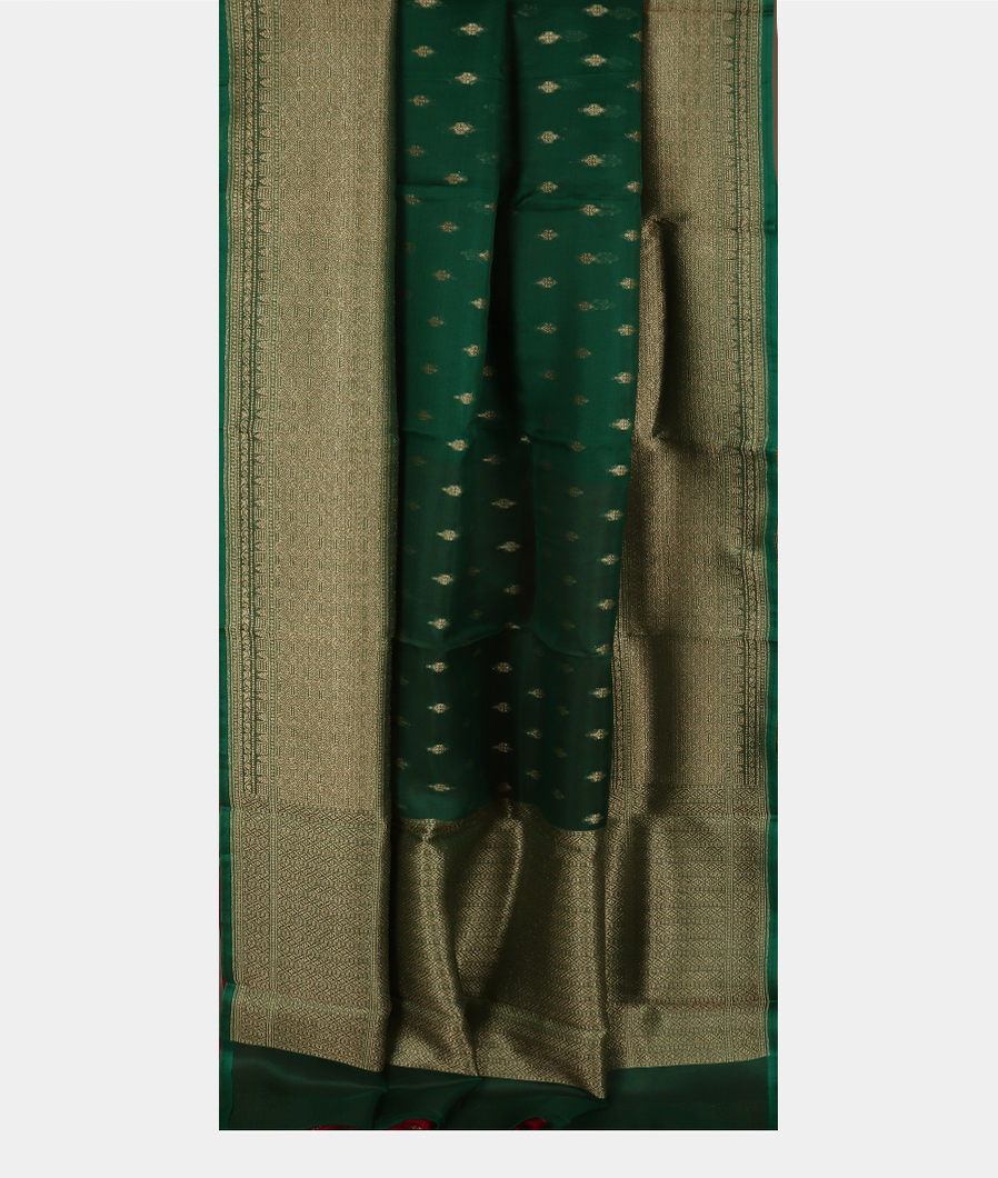 Green Banaras Organza Saree T3671902