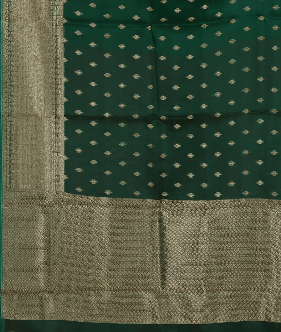 Green Banaras Organza Saree T3671904