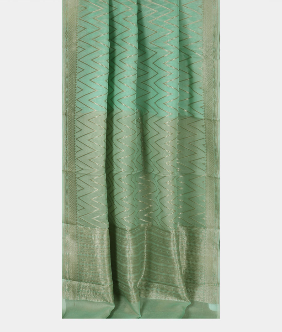Green Banaras Organza Saree T3823092