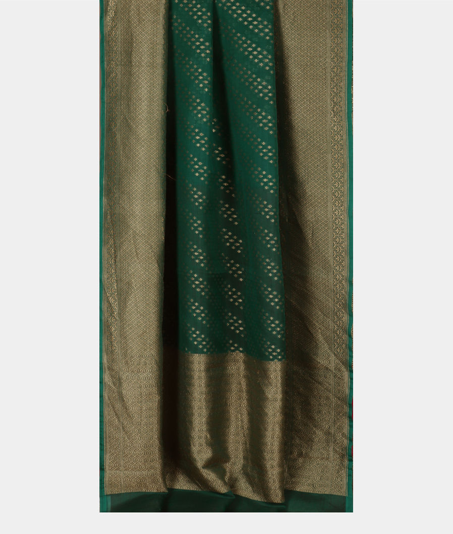 Green Banaras Organza Saree T3561232