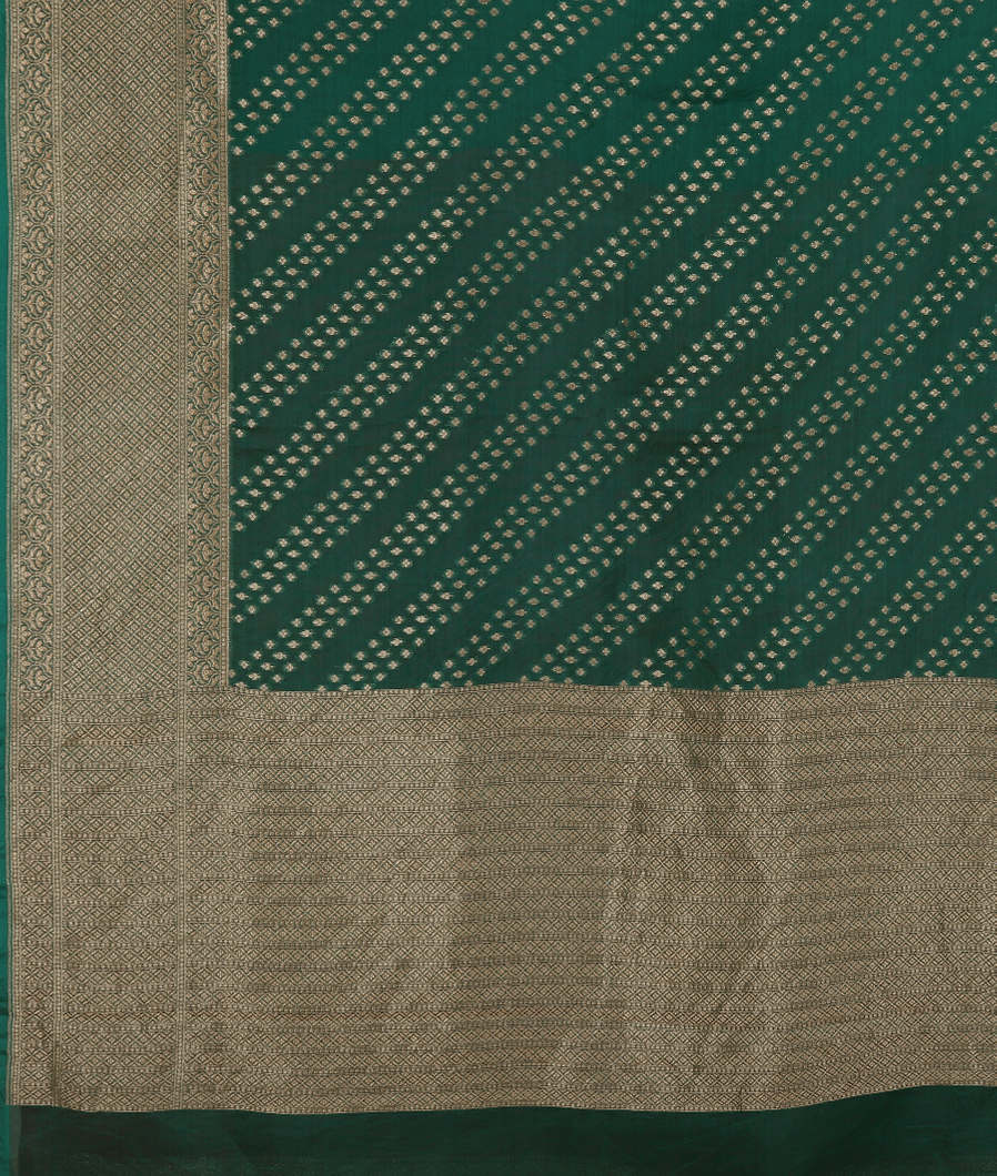 Green Banaras Organza Saree T3561234