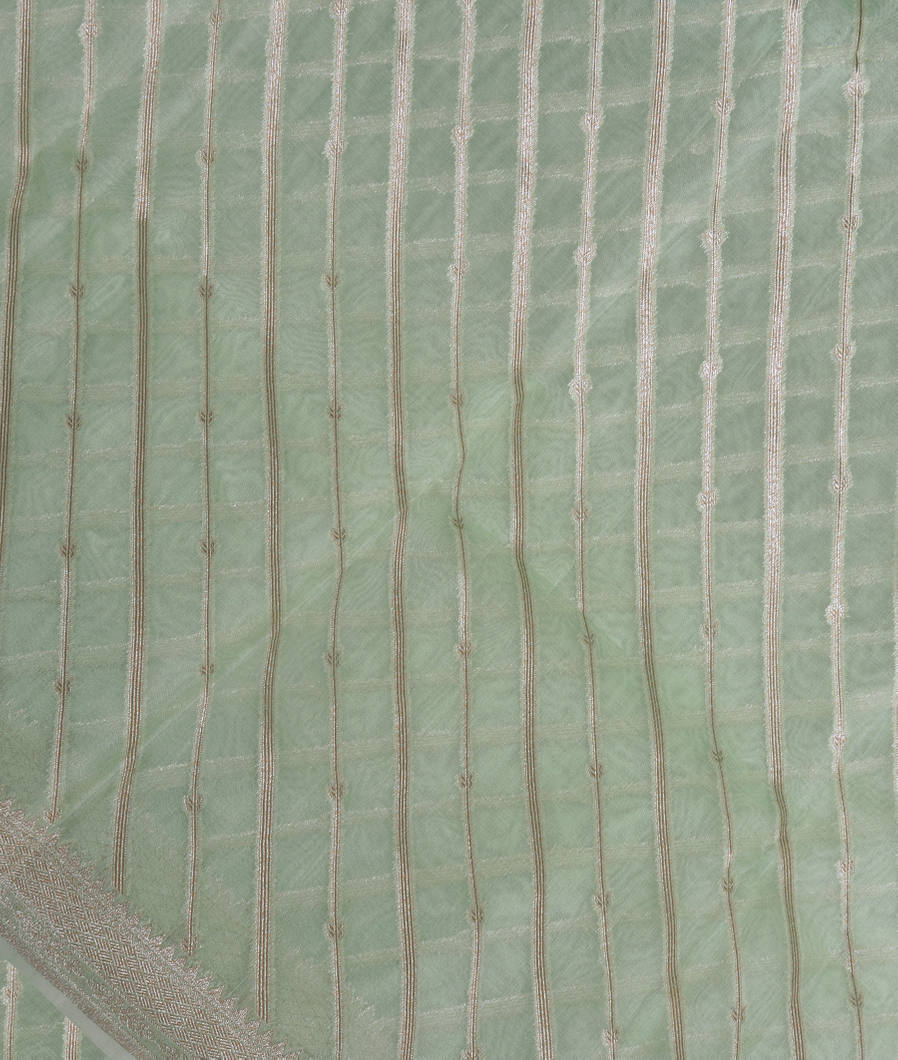 Light Green Banaras Organza Saree T367225-image