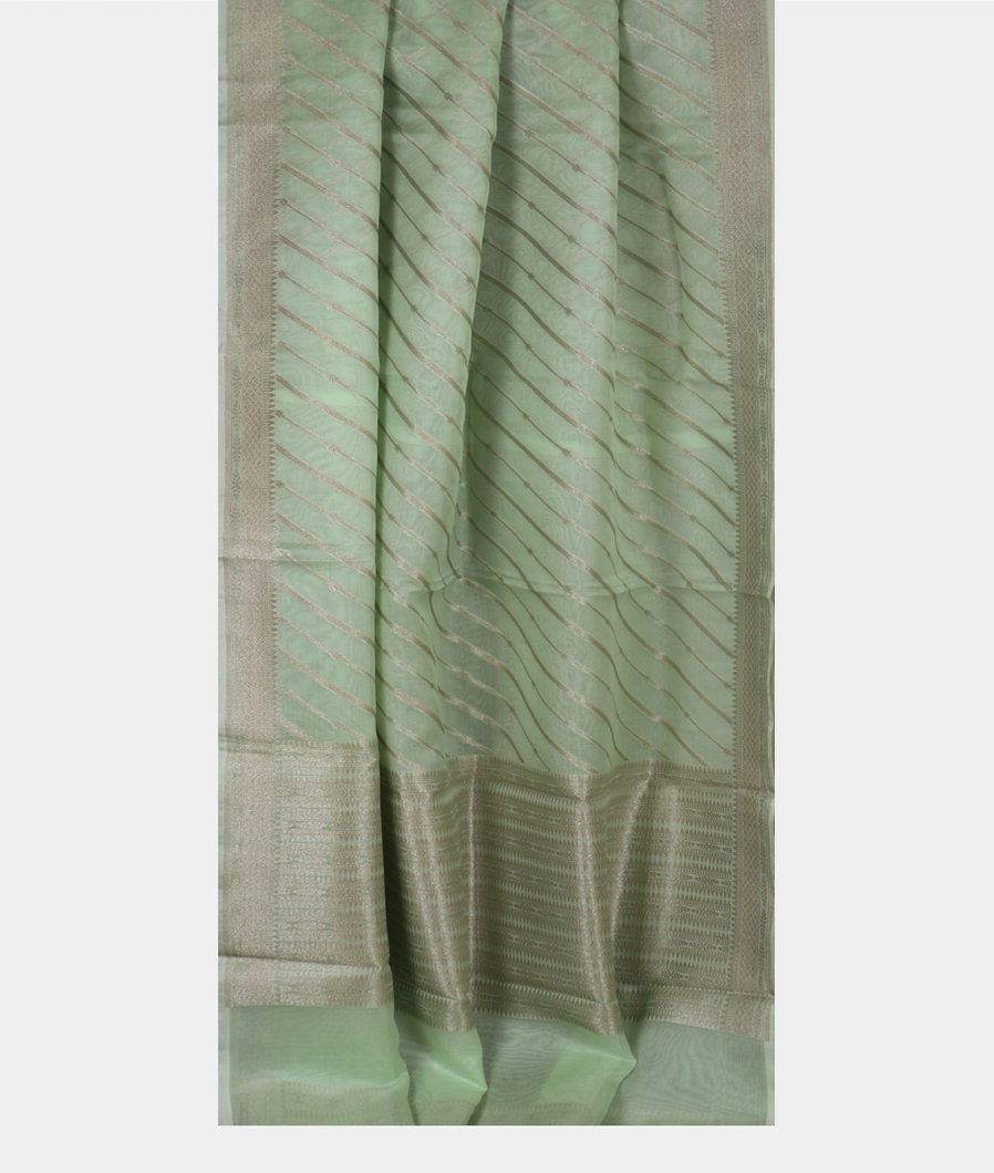 Light Green Banaras Organza Saree T3672252