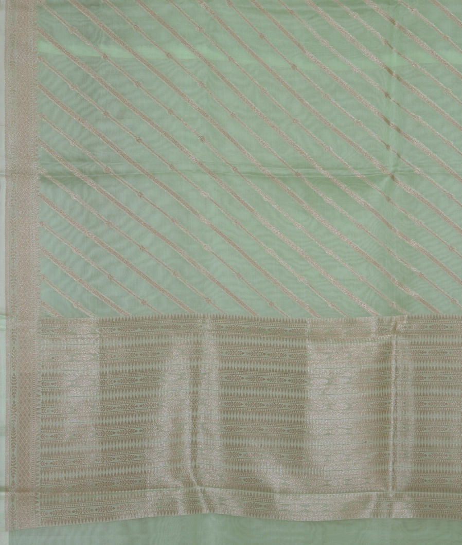 Light Green Banaras Organza Saree T3672254