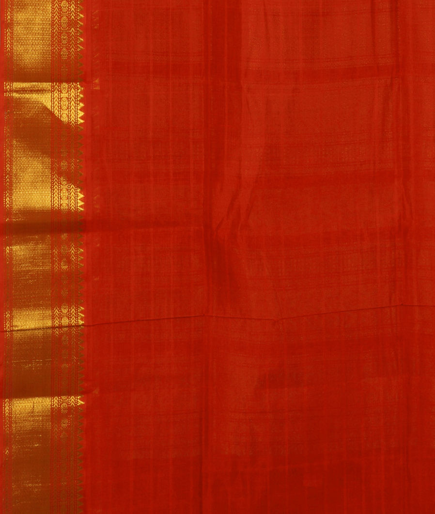 Black Silk Cotton Saree T3215873