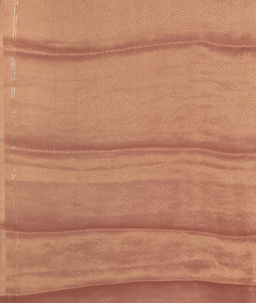 beige-chiffon-silk-saree-t346593-t346593-c