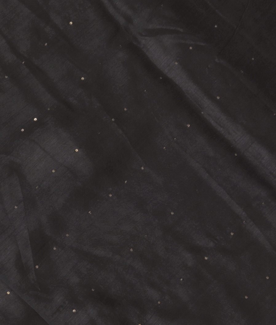 Black Handwoven Tussar Saree T354329-image