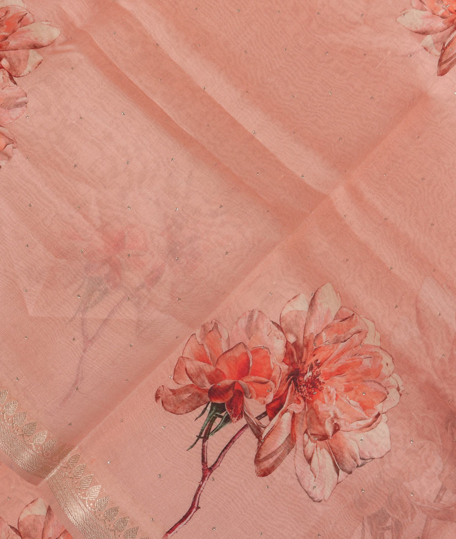 Peach Chanderi Cotton Saree T352639-image