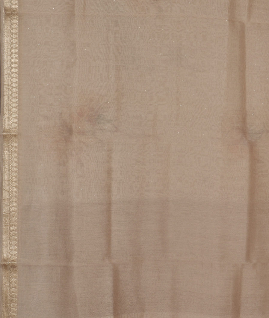 Beige Chanderi Cotton Saree T3526383
