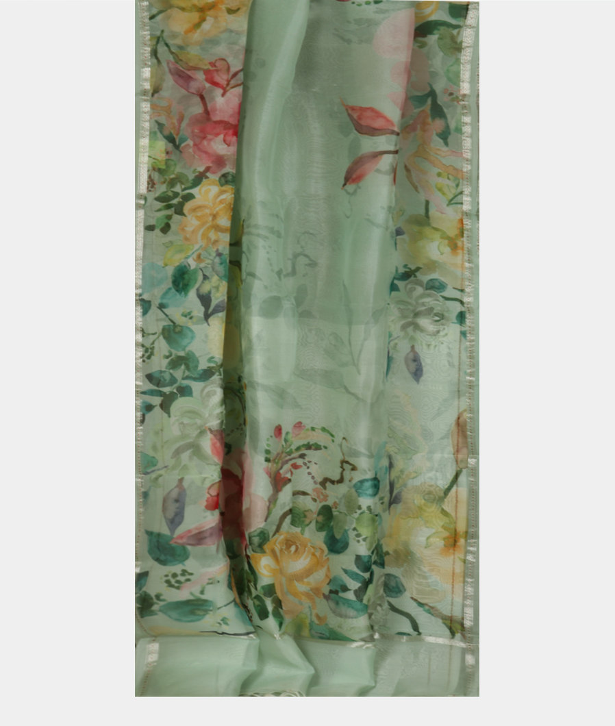 Light Green Kora Organza Printed Saree T3684252