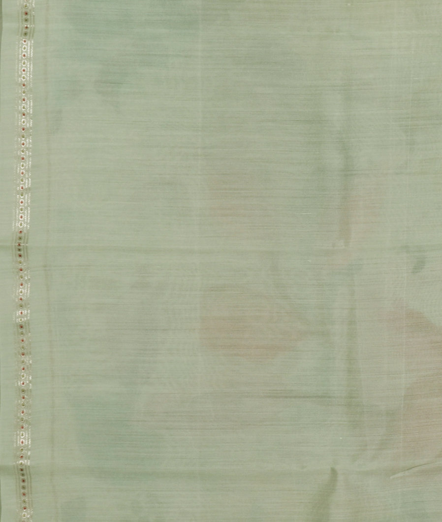 Light Green Kora Organza Printed Saree T3684253