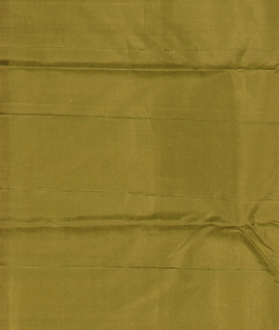 Green Handwoven Kanjivaram Silk Saree T3670913