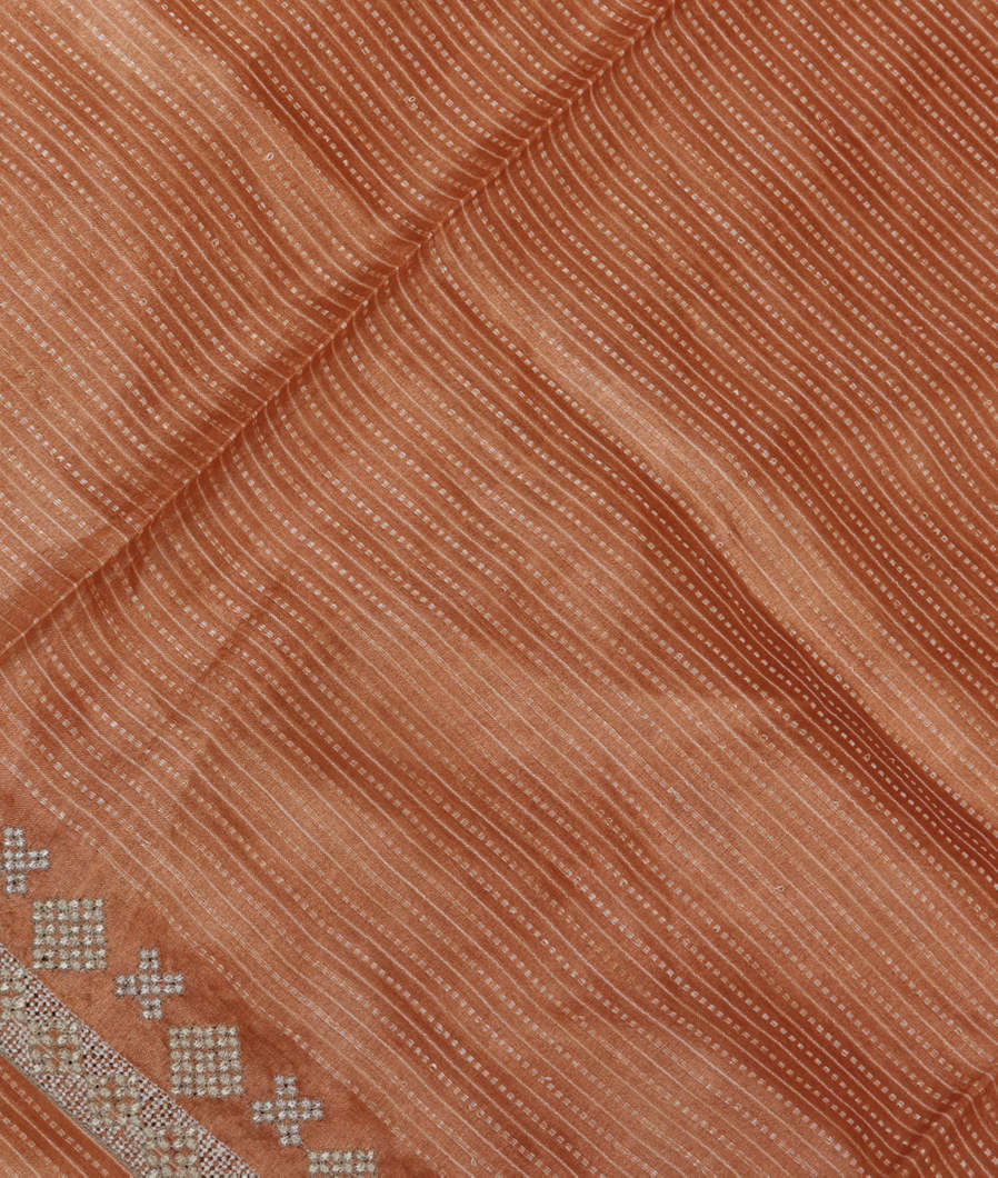 Light Brown Tussar Embroidery Saree T375105-image