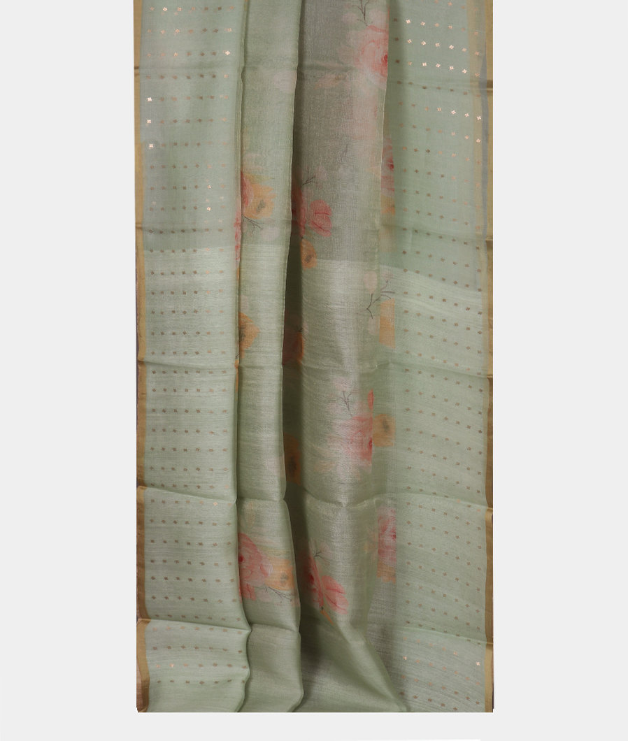 Green Kora Organza Printed Saree T3812132