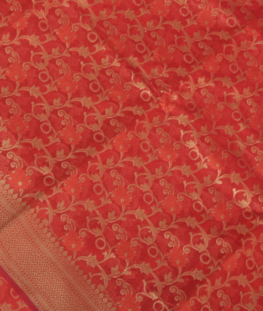 Orange Banaras Cotton Saree T380264-image