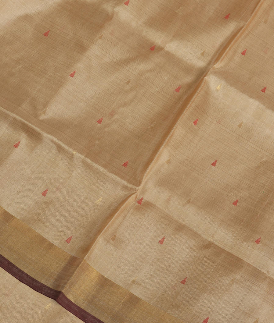 Beige Uppada Silk Saree T382885-image