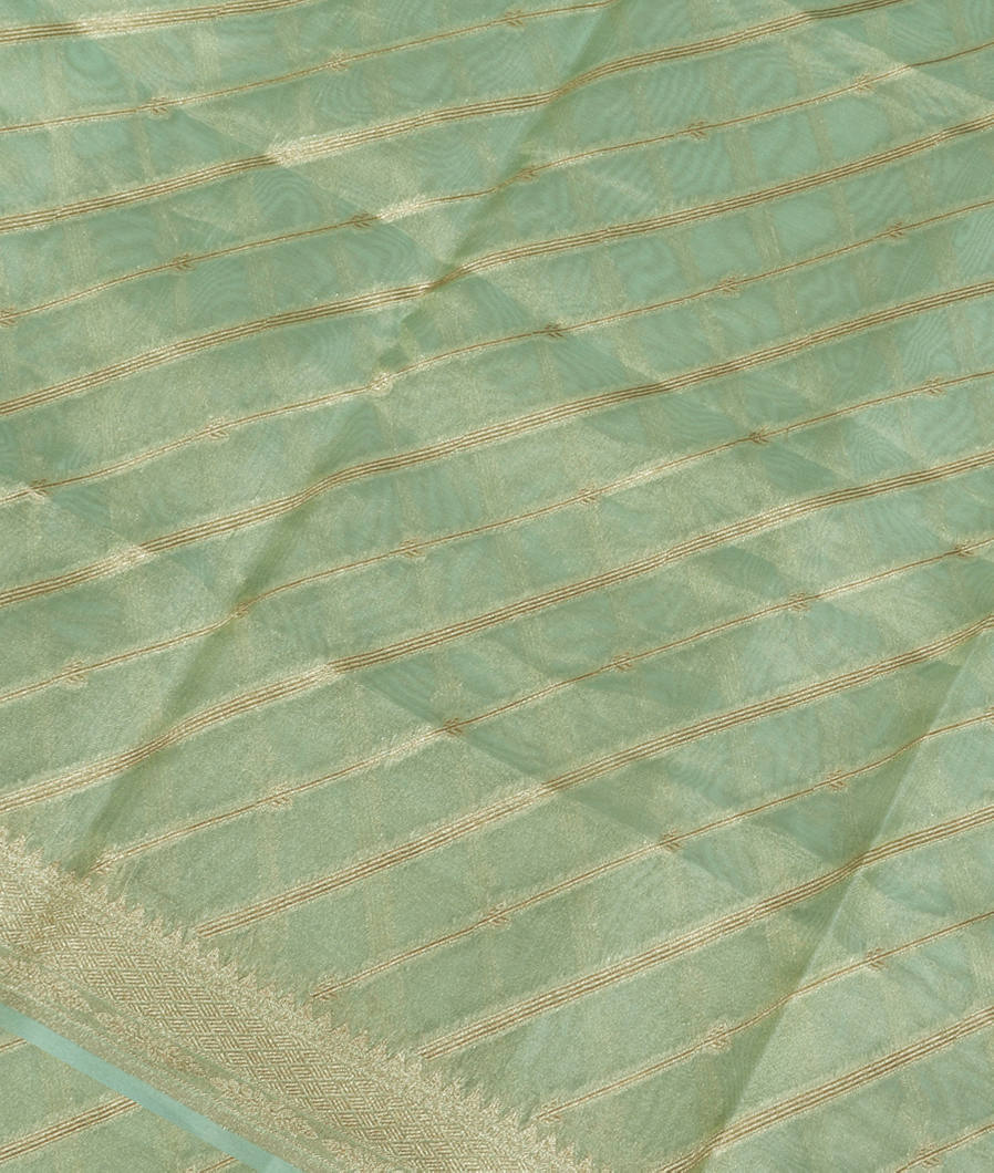 Green Banaras Organza Saree T382306