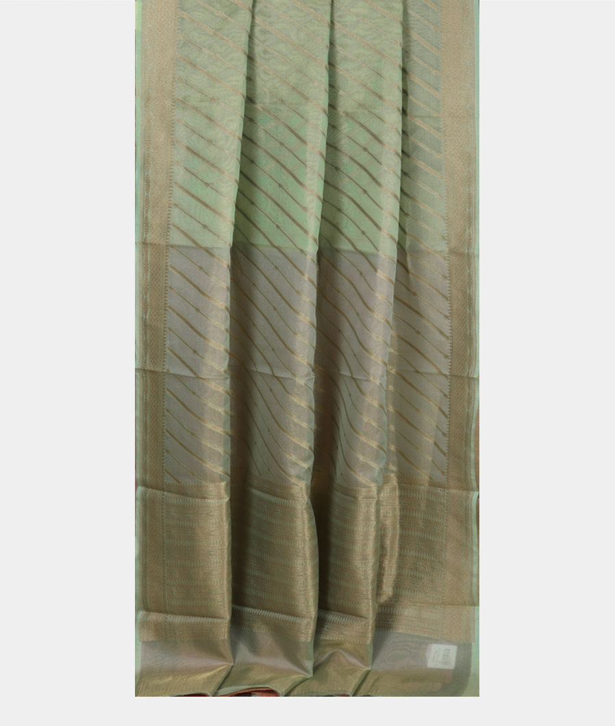 Green Banaras Organza Saree T3823062