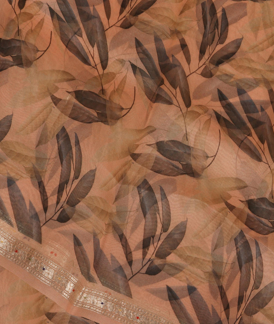 Light Peach Kora Organza Printed Saree T349095-image