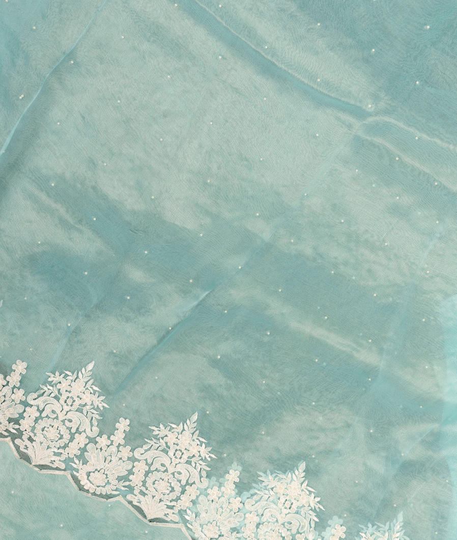 Blue Kora Organza Embroidery Saree T388018-image