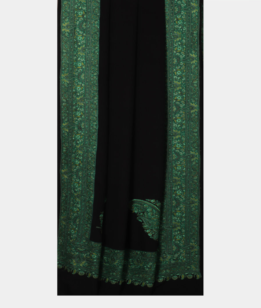 black-crepe-silk-hand-embroidery-saree-t244940-t244940-b