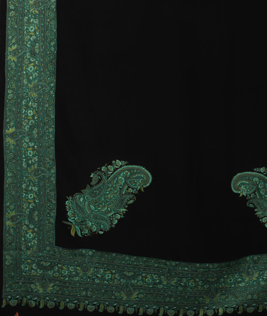 black-crepe-silk-hand-embroidery-saree-t244940-t244940-d