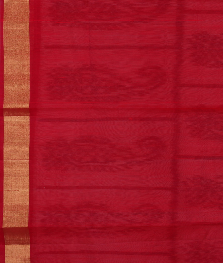 White Pochampalli Silk Cotton Saree T3893403