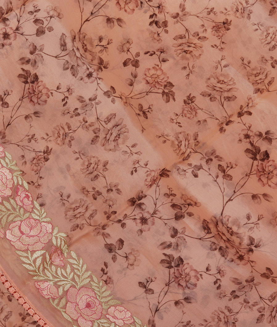 Peach Kora Organza Printed Saree T311189-image