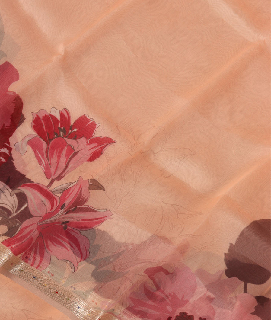 Light Peach Kora Organza Printed Saree T368443-image