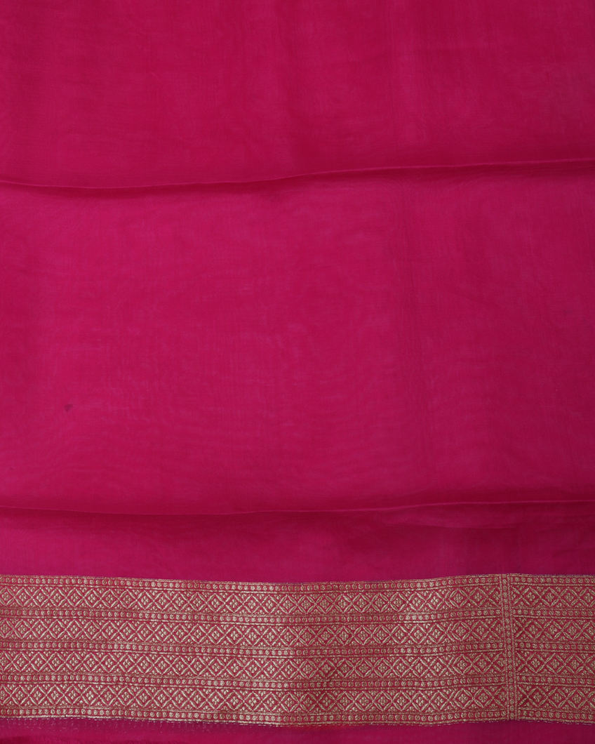 Green Banaras Organza Saree T3823103