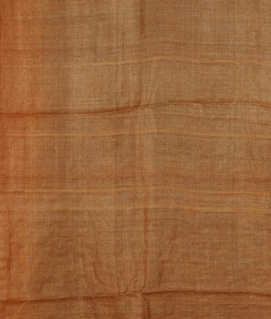 blue-tussar-embroidery-saree-t390773-t390773-c