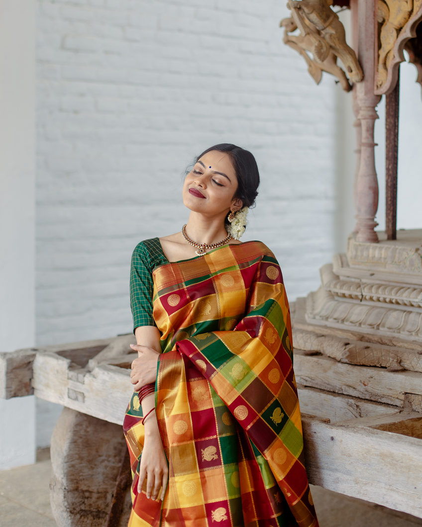 Buy Multicolour Handwoven Kanjivaram Silk Saree T367475