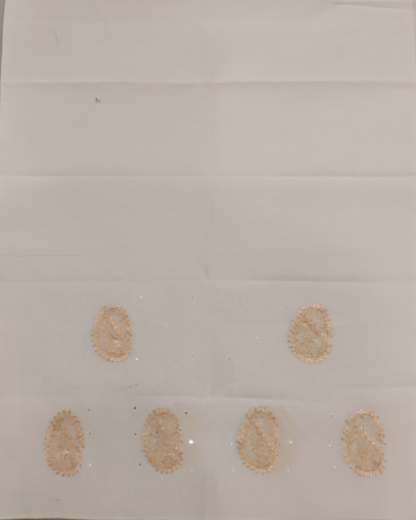 off-white-kora-organza-embroidery-saree-t383111-t383111-f