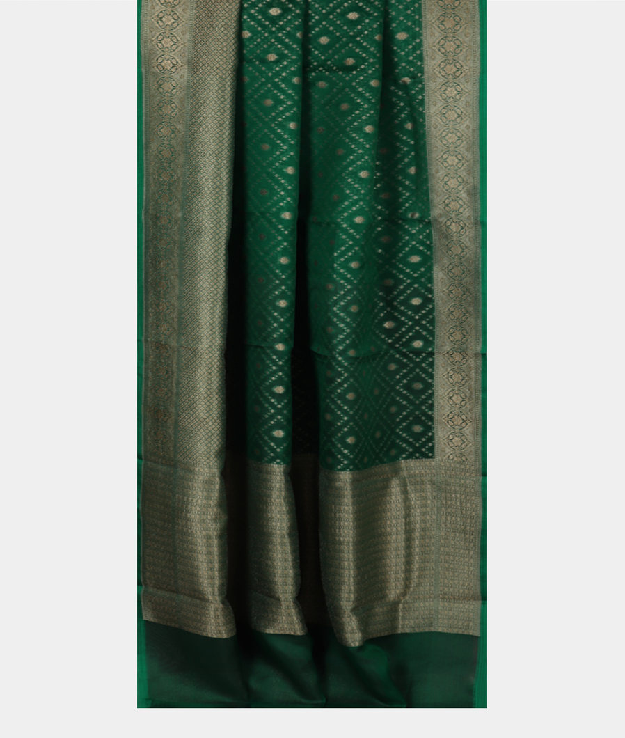 Green Banaras Organza Saree T3998632