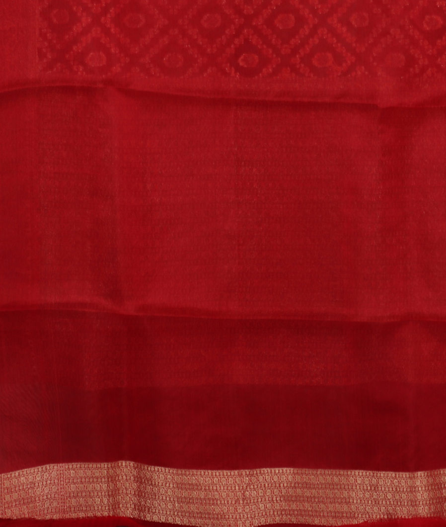 Green Banaras Organza Saree T3998633