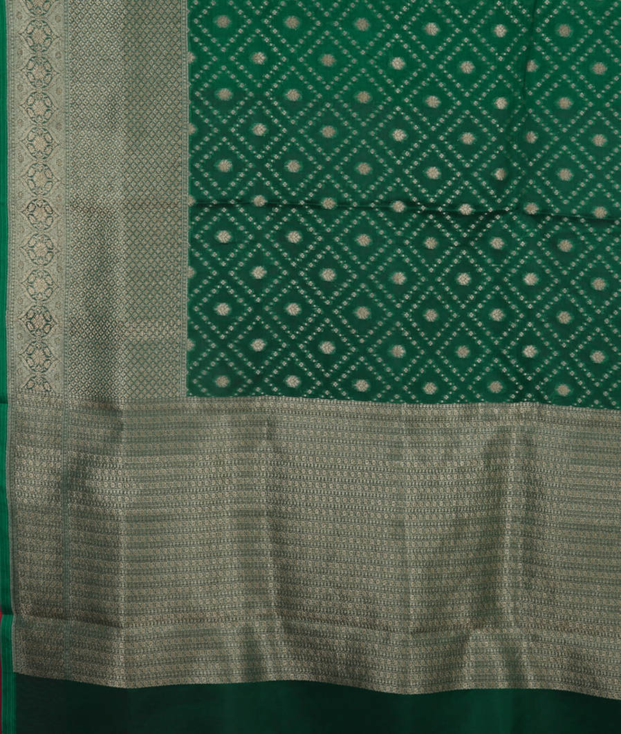 Green Banaras Organza Saree T3998634