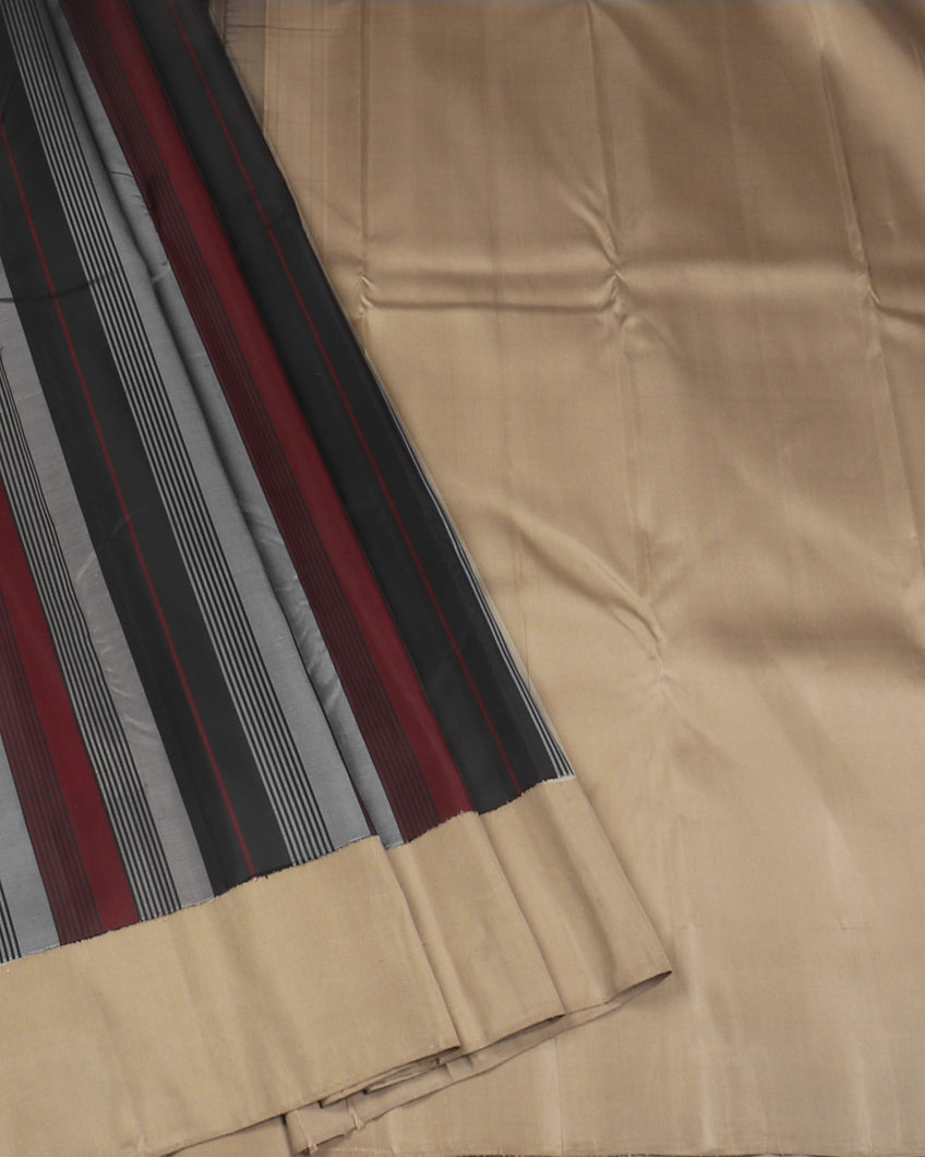 Multicolour Handwoven Kanjivaram Silk Saree T4119832