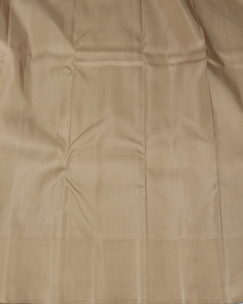 Multicolour Handwoven Kanjivaram Silk Saree T4119833