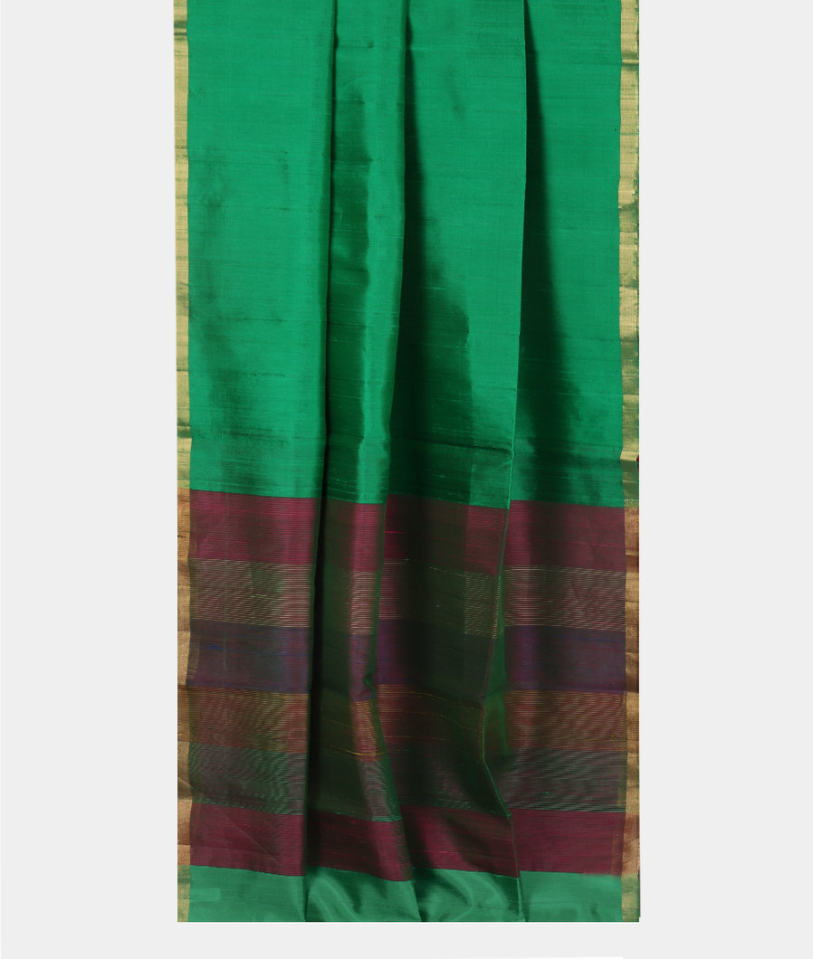 Green Woven Raw Silk Saree T3843282