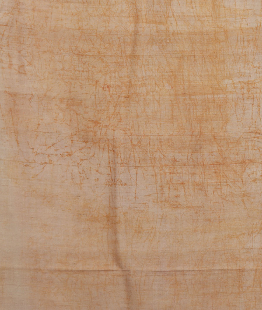 Beige Tussar Printed Saree T2686133